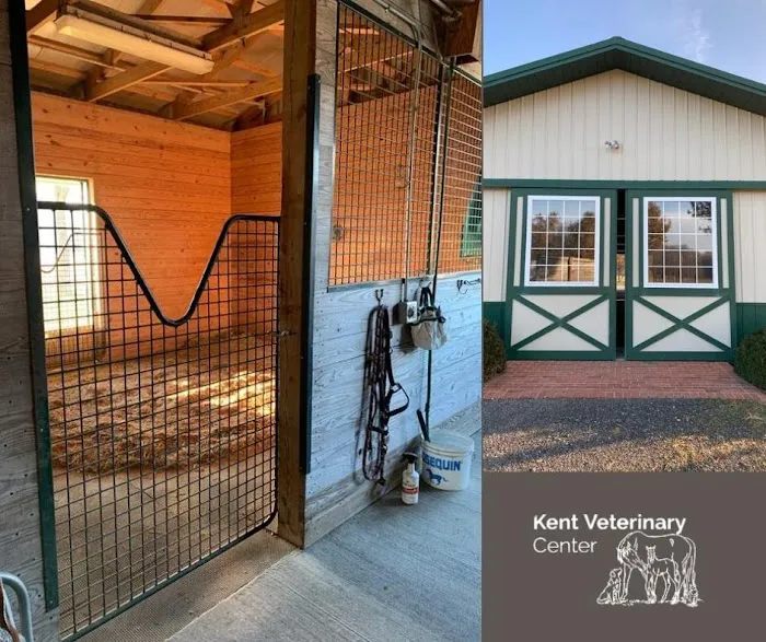 Kent Veterinary Center 3