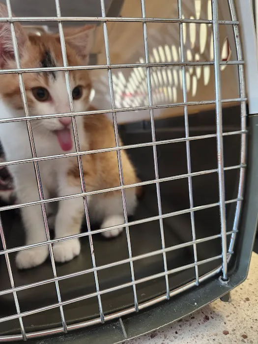 Galena Animal Medical Clinic 10