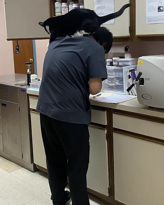Denton Animal Hospital, P.A. 4