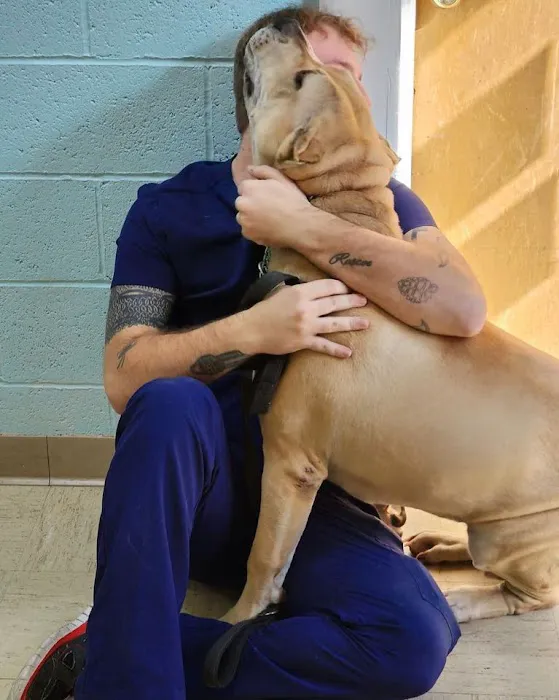 Denton Animal Hospital, P.A. 6