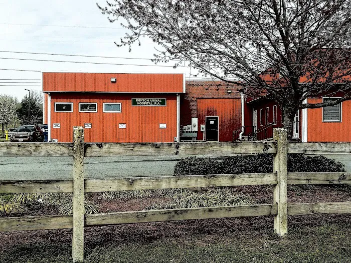Denton Animal Hospital, P.A. 7
