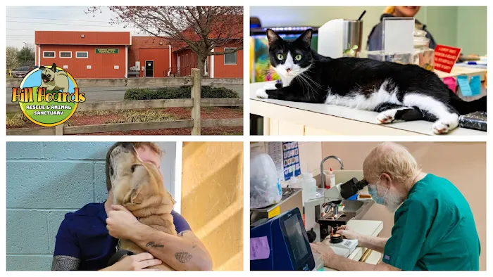Denton Animal Hospital, P.A. 10