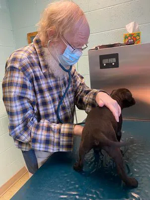Denton Animal Hospital, P.A. 9