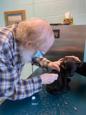 Denton Animal Hospital, P.A. 8
