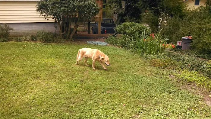 Heathsville Animal Hospital 8