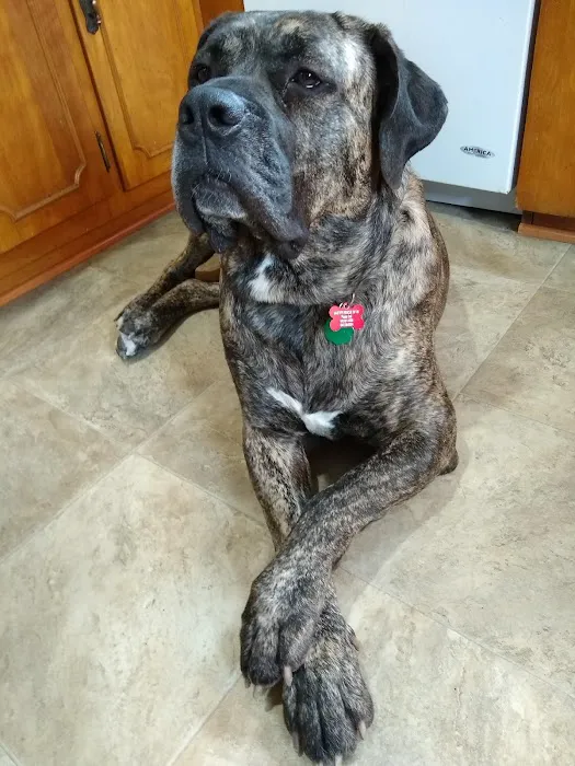 Heathsville Animal Hospital 10