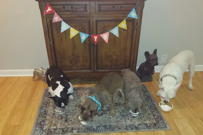 Animal Clinic of Caroline 7