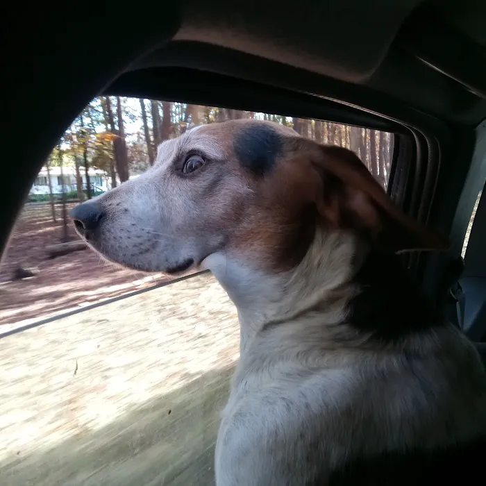 Ladysmith Veterinary Hospital 2