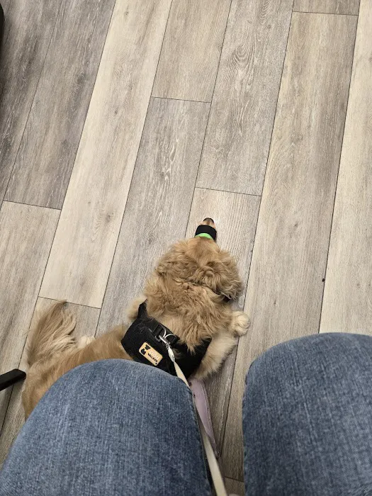 Ladysmith Veterinary Hospital 9
