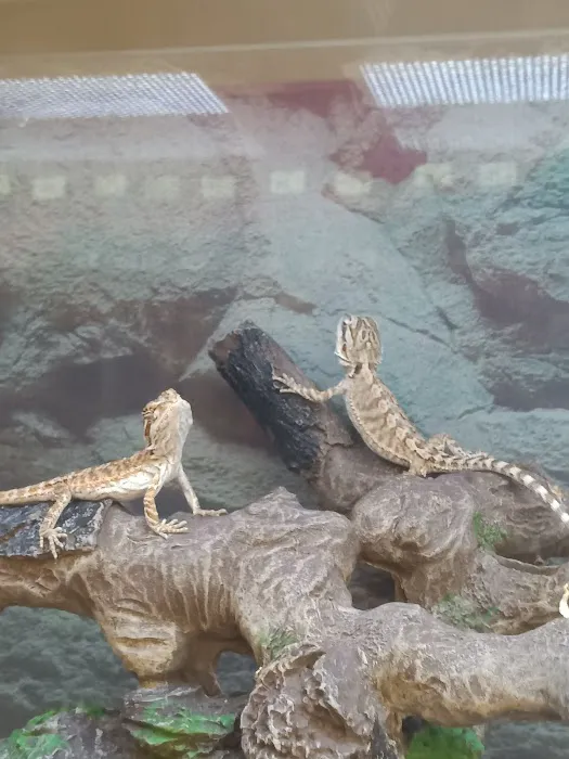 Petco 2