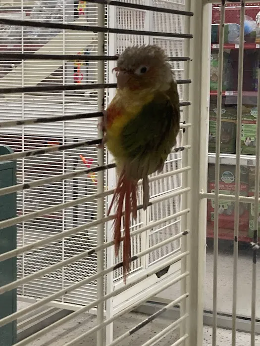 Petco 8