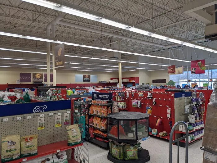 Petco 4