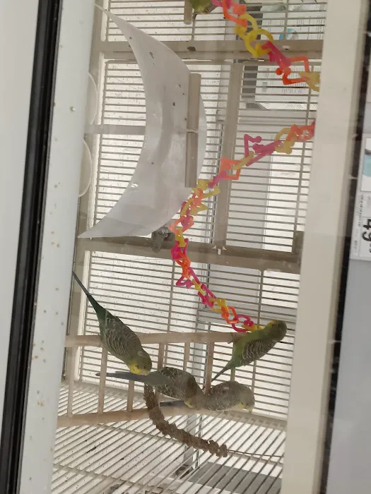 Petco 5