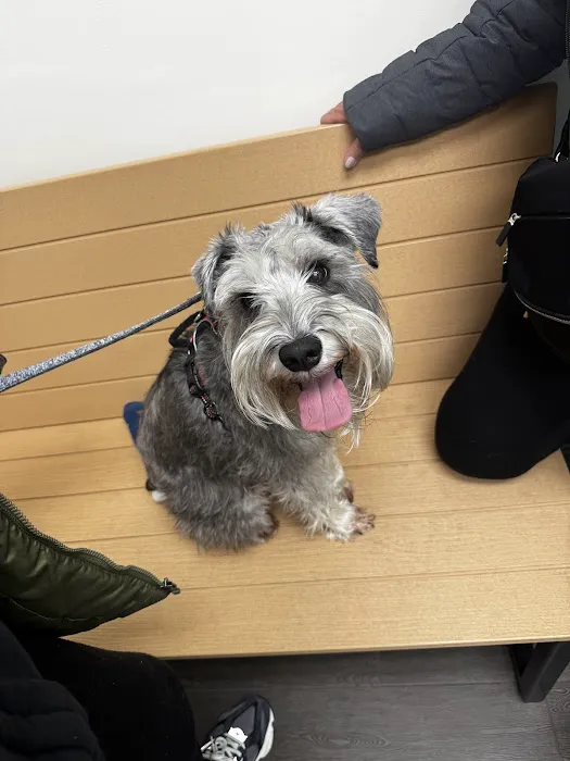 Banfield Pet Hospital 9
