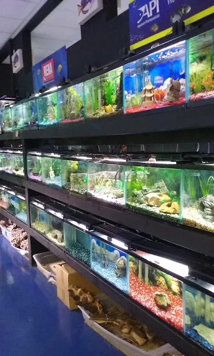 J & M Aquatics & Pet Center 10