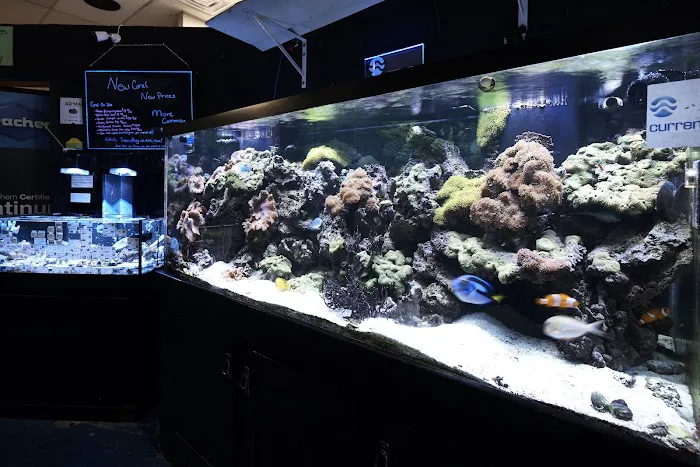 J & M Aquatics & Pet Center 4