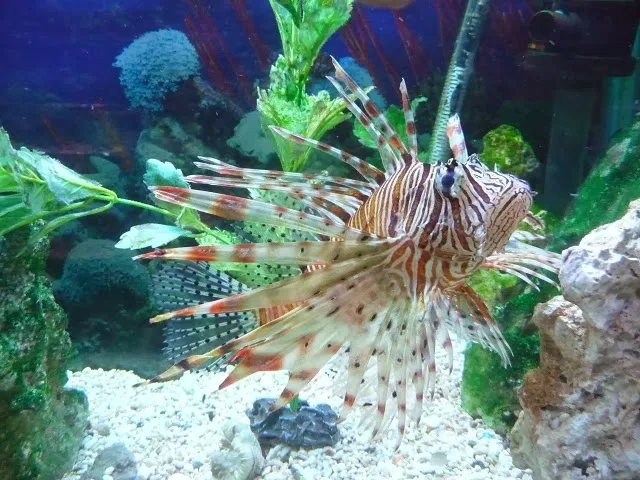 J & M Aquatics & Pet Center 5