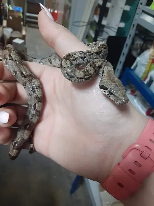 J & M Aquatics & Pet Center 1