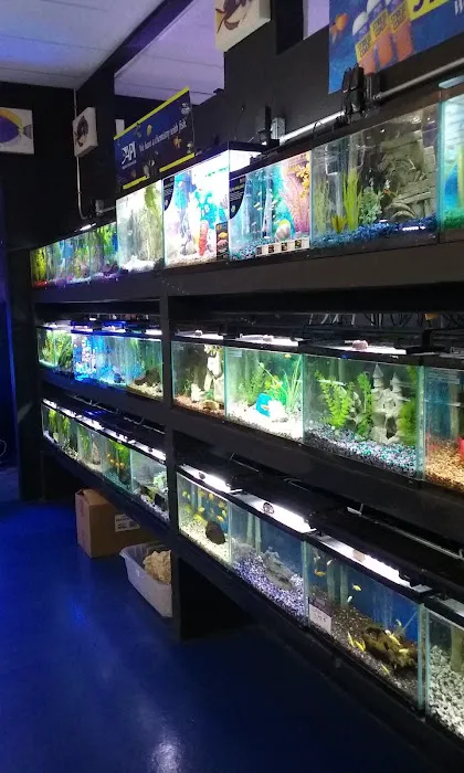 J & M Aquatics & Pet Center 7