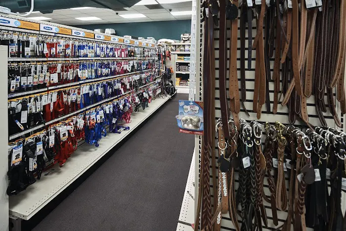 J & M Aquatics & Pet Center 8
