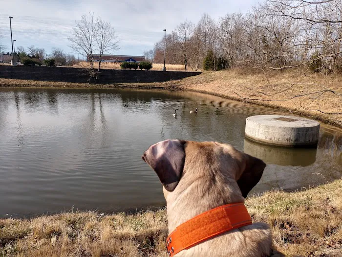 Four Paws Animal Hospital & Wellness Center 6