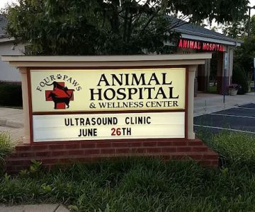 Four Paws Animal Hospital & Wellness Center