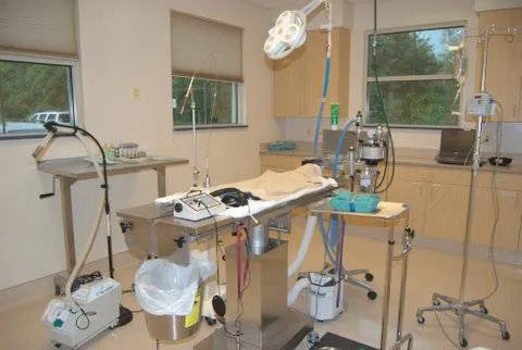 Four Paws Animal Hospital & Wellness Center 8