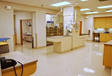 Four Paws Animal Hospital & Wellness Center 7
