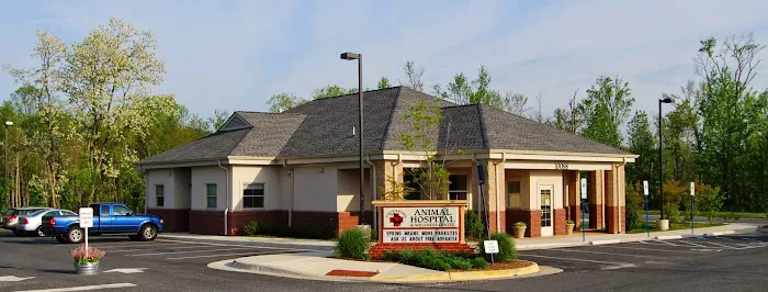 Four Paws Animal Hospital & Wellness Center 2