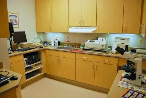 Four Paws Animal Hospital & Wellness Center 9