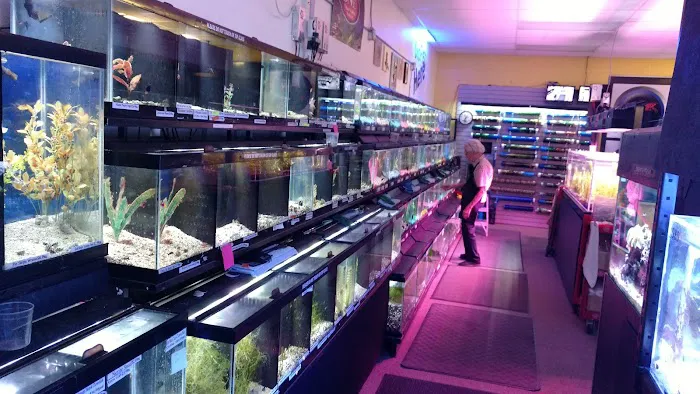 Western Slope Aquatics 2