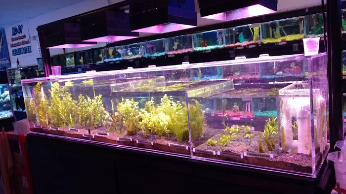Western Slope Aquatics 9
