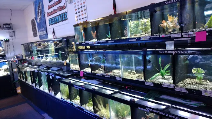Western Slope Aquatics 5