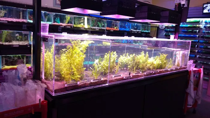 Western Slope Aquatics 1