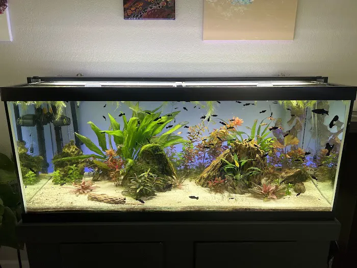 Western Slope Aquatics 6