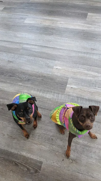 Southeastern Pet Vacc 9