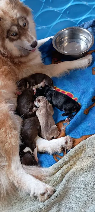 Banfield Pet Hospital 6