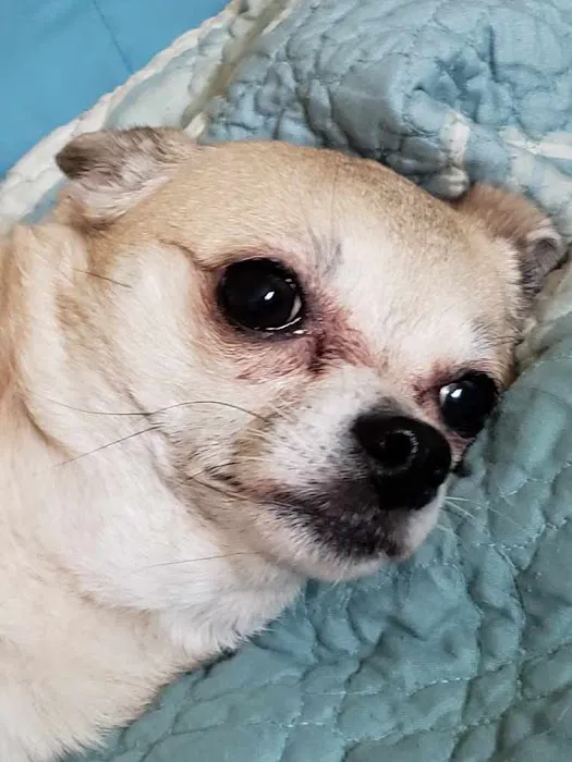 Banfield Pet Hospital 8