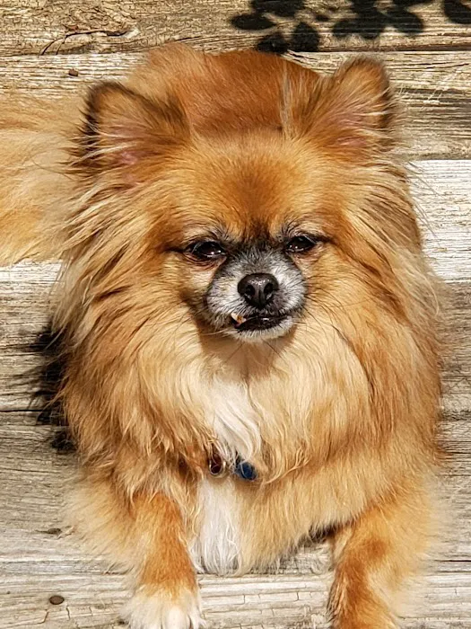 Banfield Pet Hospital 7