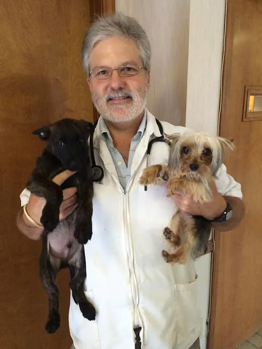 Stringer Animal Hospital North 8