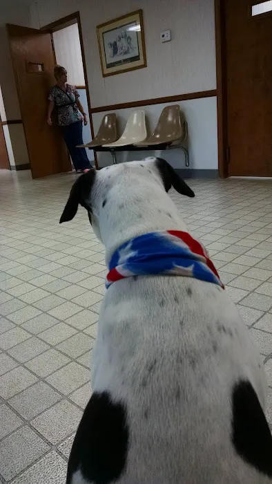 Stringer Animal Hospital North 6