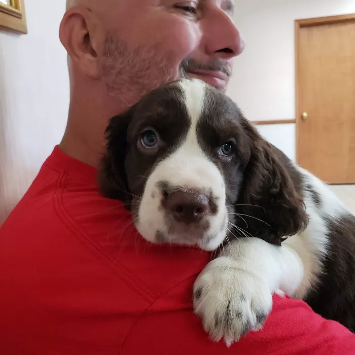 Stringer Animal Hospital North 4