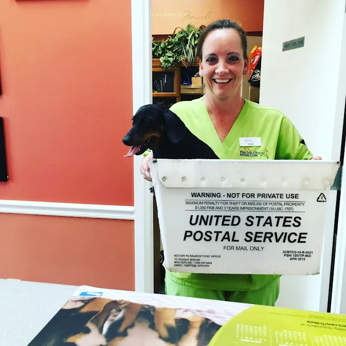 Electric City Animal Clinic 10