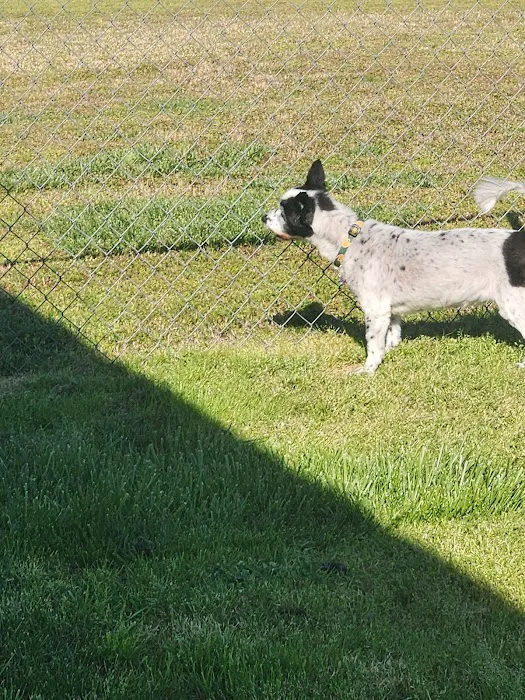 Electric City Animal Clinic 4