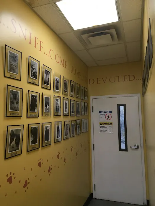 Electric City Animal Clinic 8