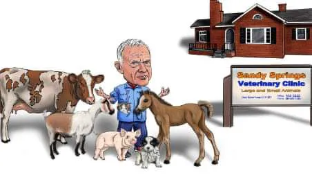 Sandy Springs Veterinary Clinic 6