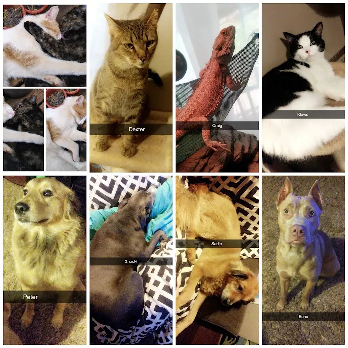 Sandy Springs Veterinary Clinic 4