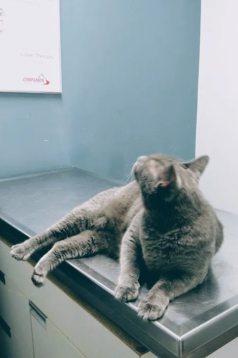 Easley Animal Hospital 6