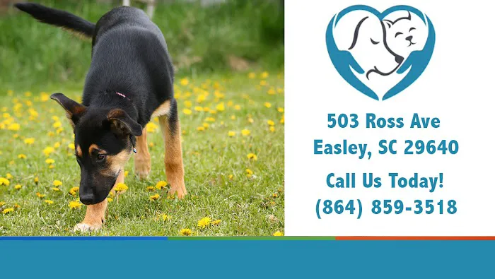 Easley Animal Hospital 9
