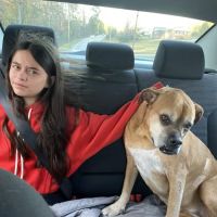 Southern Trail Animal Clinic ico